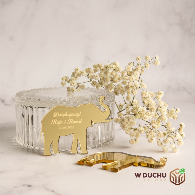 Magnes lustrzany sloń.jpg