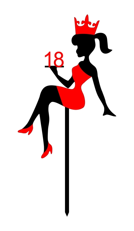 G_33A plexi czarna folia.jpg